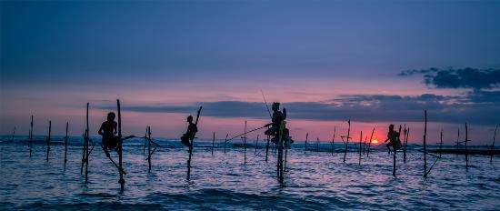 still-fishing-in-srilanka